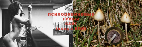ешки Покров
