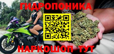 индика Рязань