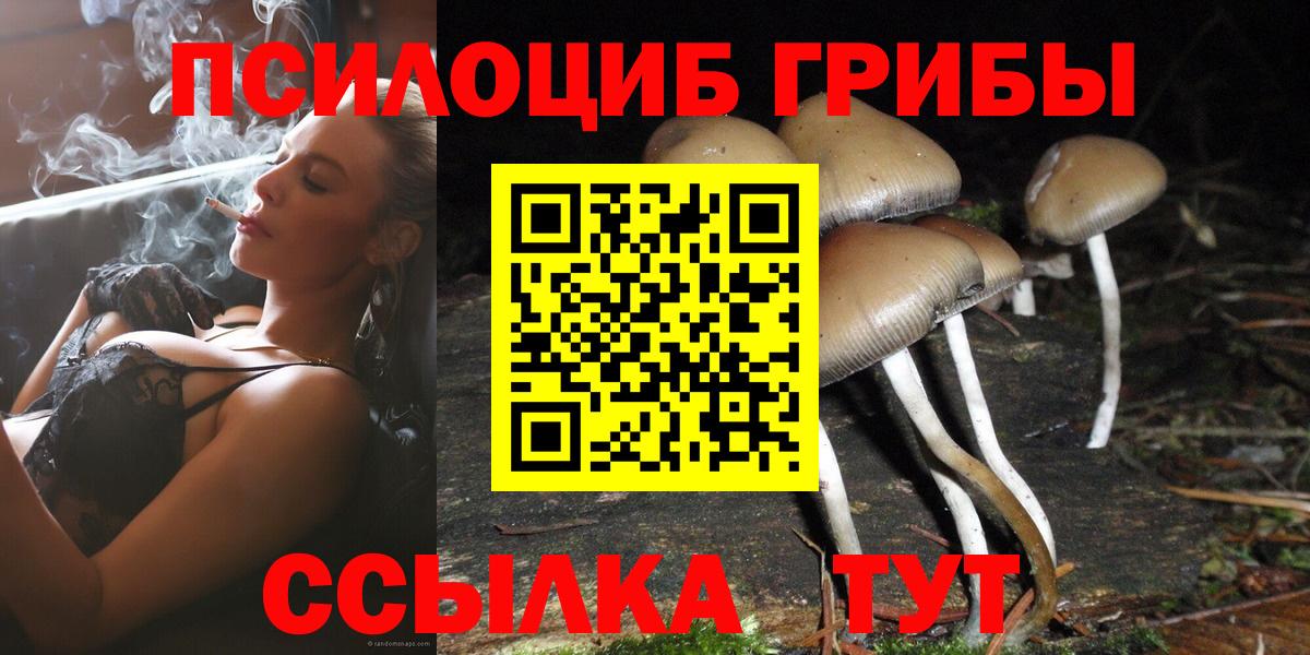 Галлюциногенные грибы MAGIC MUSHROOMS  Вход с VPN  Сызрань 