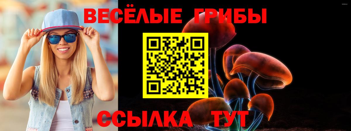 Псилоцибиновые грибы мухоморы Сызрань